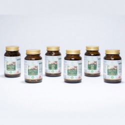 6 pack - SACHA INCHI Kapseln